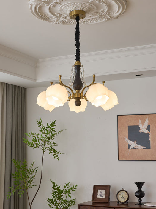 Antonia Chandelier-DWHOME