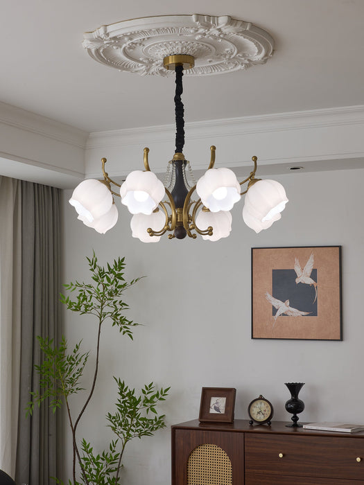 Antonia Chandelier-DWHOME