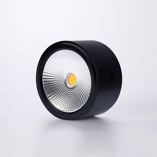 Anzio Spotlights-DWHOME