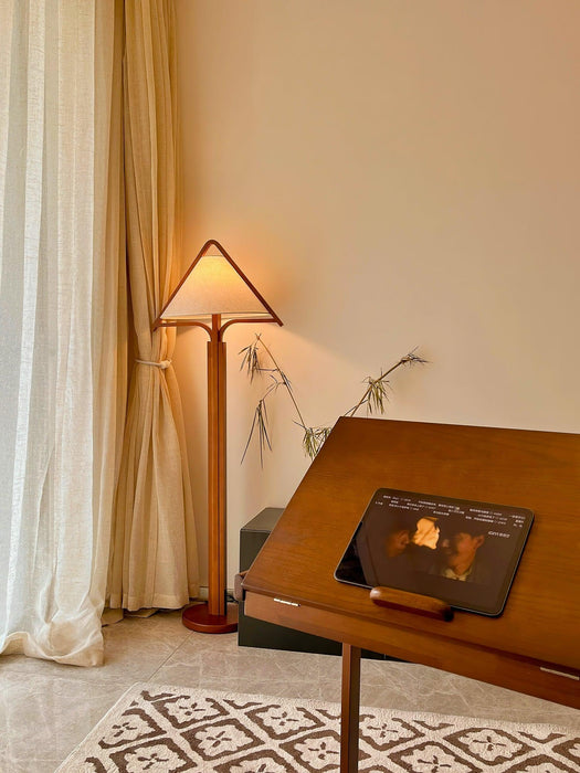 Apex Triangle Shade Floor Lamp - DWHOME