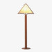 Apex Triangle Shade Floor Lamp - DWHOME