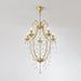 Arcadia Chandelier-DWHOME
