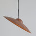 Arcadian Pendant Light-DWHOME