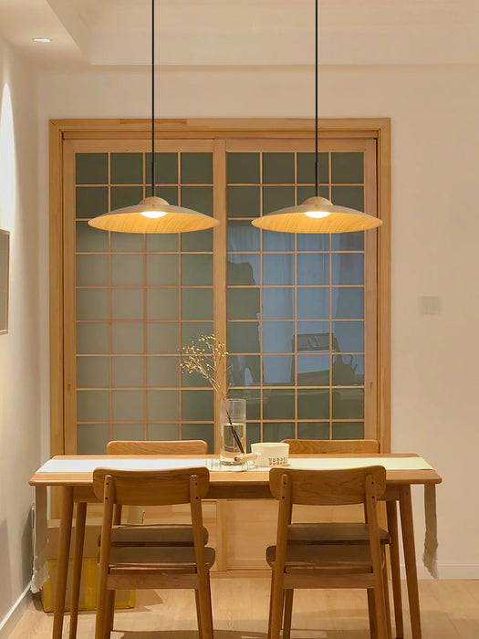 Arcadian Pendant Light-DWHOME