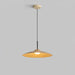 Arcadian Pendant Light-DWHOME
