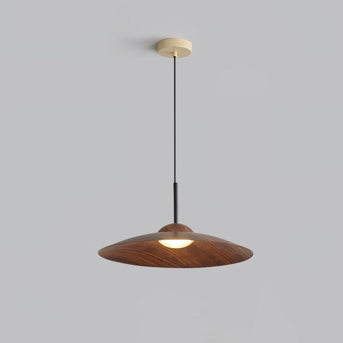 Arcadian Pendant Light-DWHOME