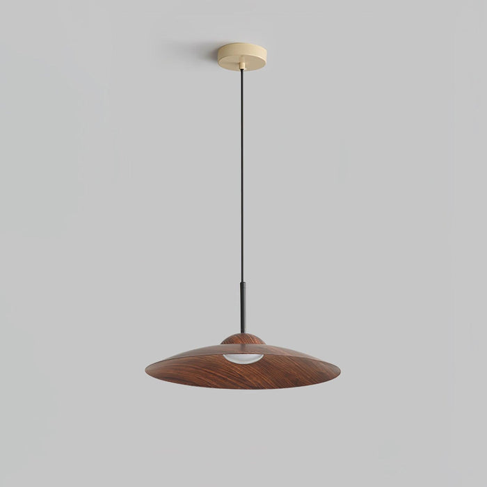 Arcadian Pendant Light-DWHOME