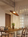 Arcadian Pendant Light-DWHOME