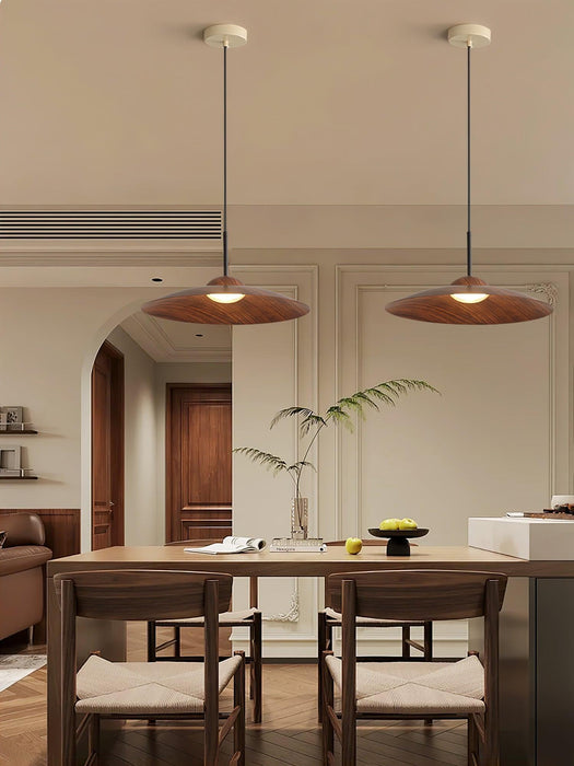 Arcadian Pendant Light-DWHOME