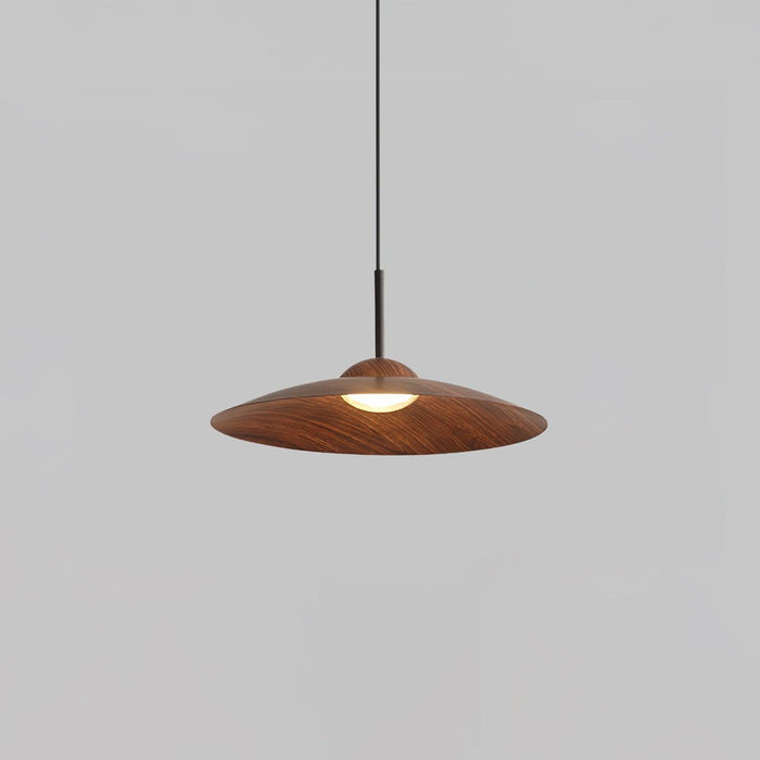 Arcadian Pendant Light-DWHOME