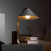 Arclune Desk Lamp-DWHOME