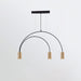 Arcs Pendant Light-DWHOME