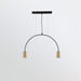 Arcs Pendant Light-DWHOME