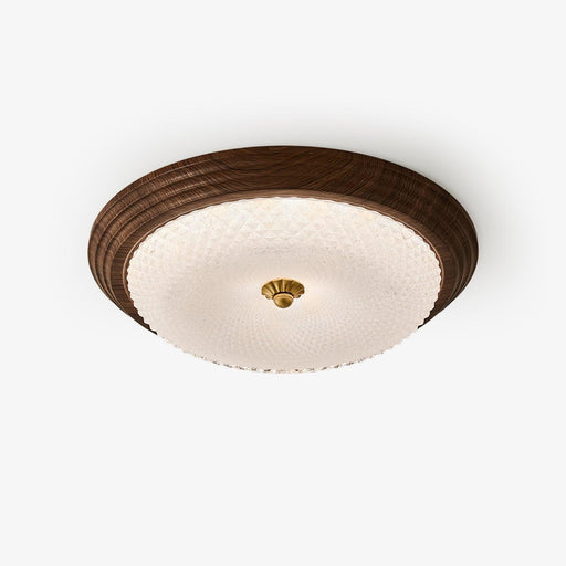 Arlington Ceiling Lamp-DWHOME