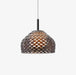 Armadillo Pendant Lamp-DWHOME