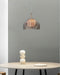 Armadillo Pendant Lamp-DWHOME