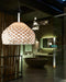 Armadillo Pendant Lamp-DWHOME
