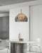 Armadillo Pendant Lamp-DWHOME