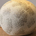 Arosa Table Lamp - DWHOME
