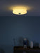 Art Deco Vintage Ceiling Light-DWHOME