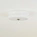 Art Deco Vintage Ceiling Light-DWHOME