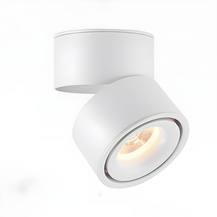 Artemis Surface Downlight-DWHOME