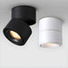 Artemis Surface Downlight-DWHOME