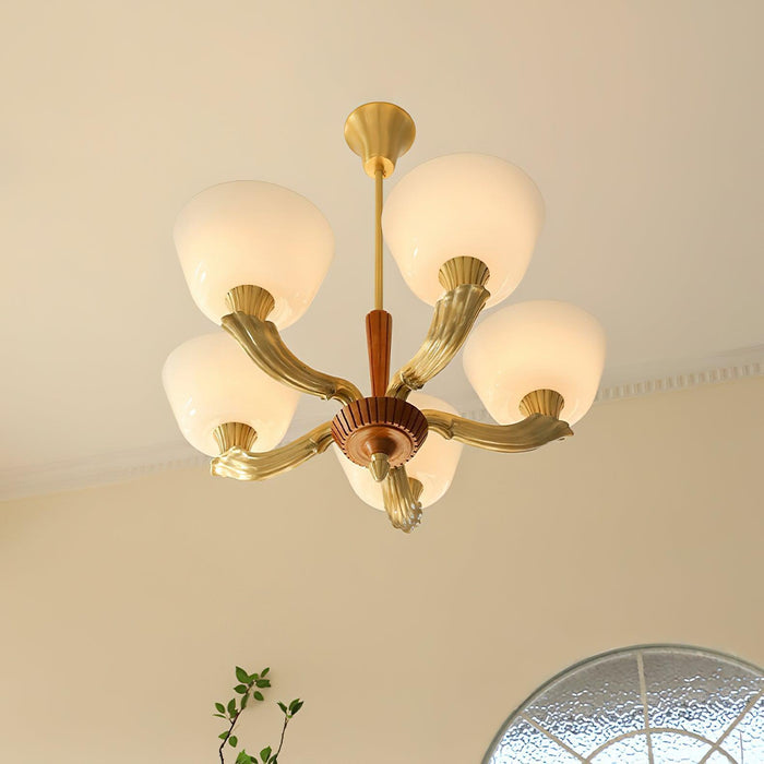 Ascher Chandelier-DWHOME