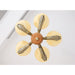 Ascher Chandelier-DWHOME