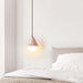 Aslo Pendant Lamp - DWHOME