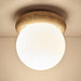 Asteroid Ceiling Lamp - DWHOME