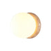 Asteroid Wall Light - Vakkerlight