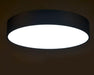 PONTUS Aubergine Slice Ceiling Lamp - DWHOME