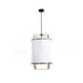 Ay illuminate Pendant Light - DWHOME