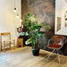 Ball Series Pendant Light-DWHOME