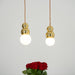 Ball Series Pendant Light-DWHOME