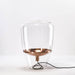 Balloon Table Lamp-DWHOME