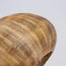 Bamboo Camden Pendant Light-DWHOME