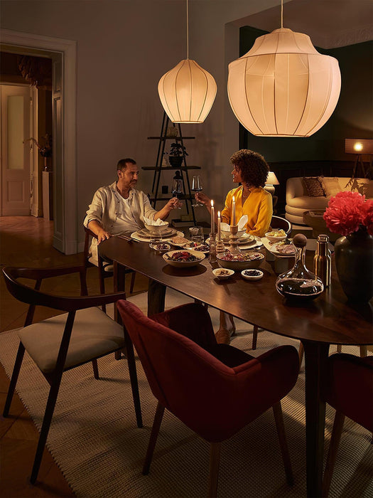 Beau Mesh Pendant Light-DWHOME