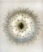 Beautifully Murano Palmette Transparent Chandelier-DWHOME
