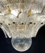Beautifully Murano Palmette Transparent Chandelier-DWHOME