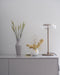 Solara Table Lamp - DWHOME