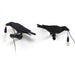 Bird Wall Light - DWHOME