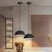 Black Arch Ceramic Pendant Lamp-DWHOME