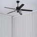 Black Vintage Ceiling Fan - DWHOME