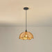 Bloom Rattan Pendant Lamp-DWHOME