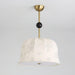 Blossom Curve Pendant Lamp-DWHOME