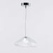 Blown Glass Mesh Pendant Light - DWHOME