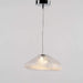 Blown Glass Mesh Pendant Light - DWHOME