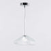 Blown Glass Mesh Pendant Light - DWHOME